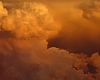 Taming Hurricane Pedro Gives Hope for the Future 
