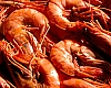 Seafood Consumption to New Heights in the US